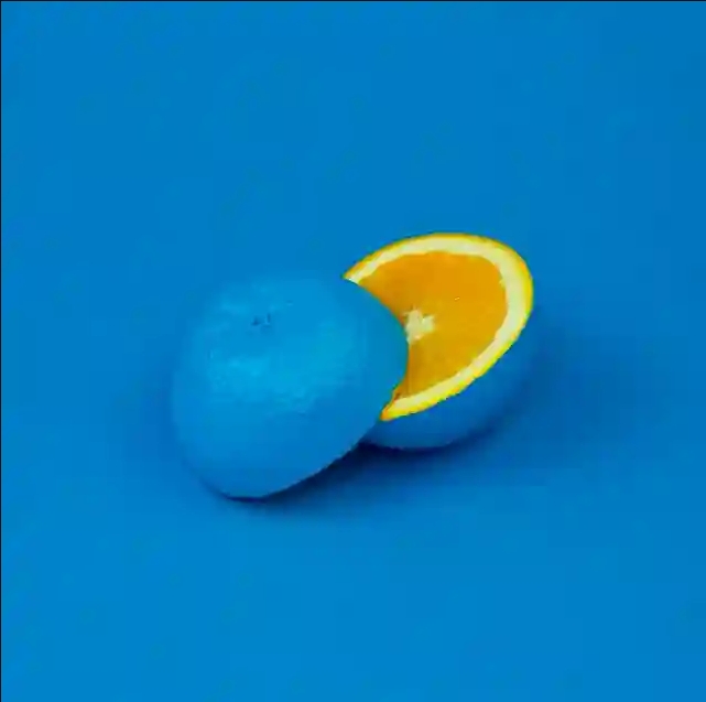 不求甚解