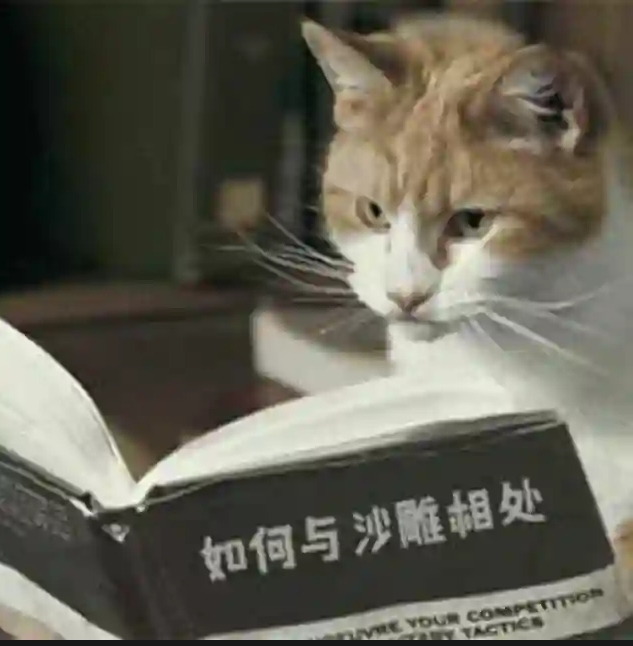 如何与沙雕相处