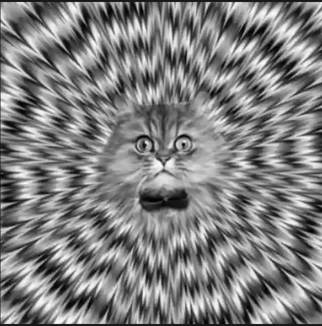 Illusion of deception